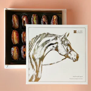Arabian Horse Box